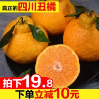 四川丑橘丑柑新鮮桔子不知火甜丑八怪柑橘8斤當季水果包郵