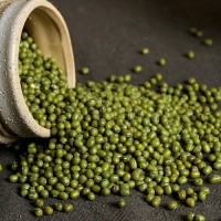 七彩納沃 5斤綠豆新鮮農家粗糧顆粒飽滿笨綠豆糧油做綠豆湯發豆芽